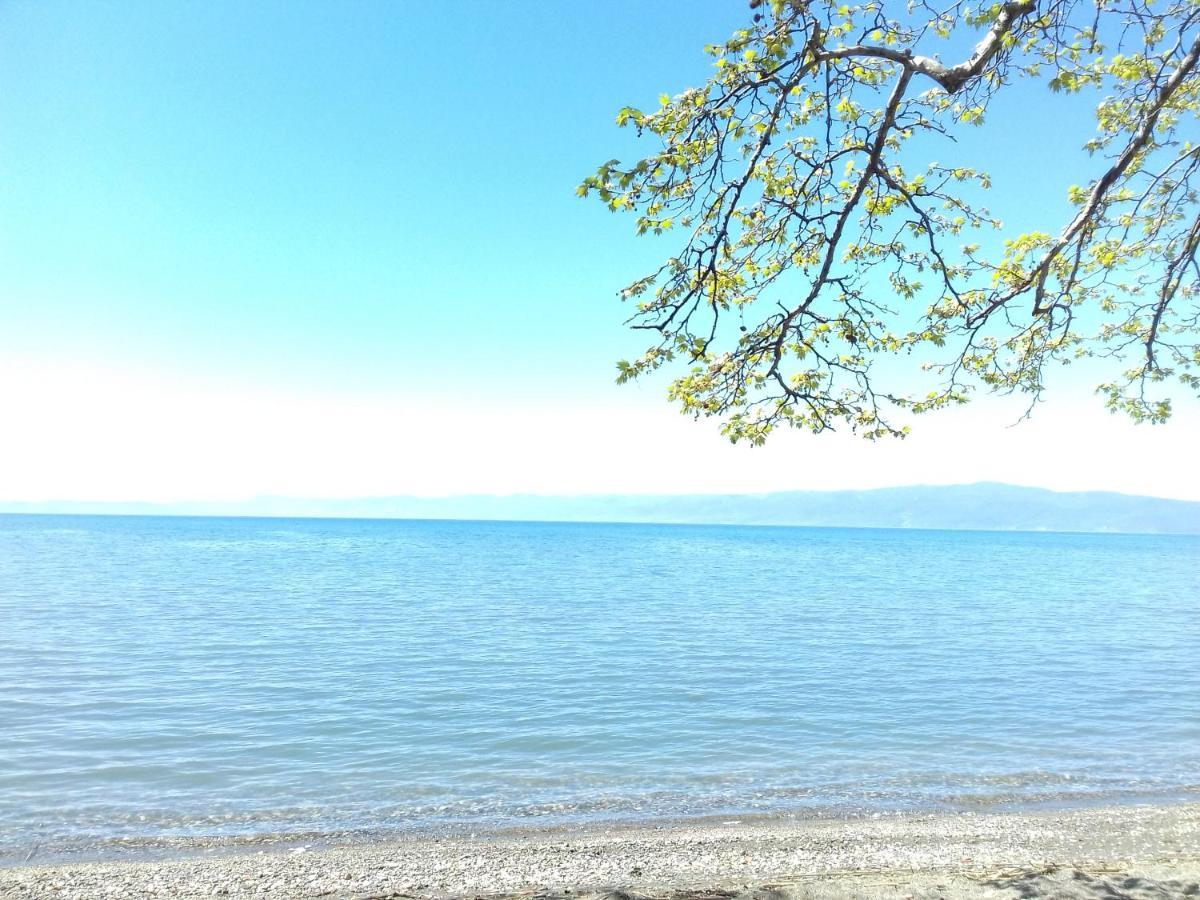 Apartment Biljana Ohrid Ngoại thất bức ảnh